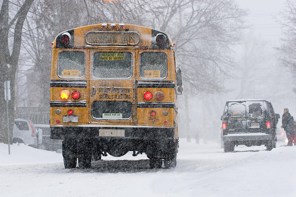 Lansing-Area School Closings For Friday, January 5th