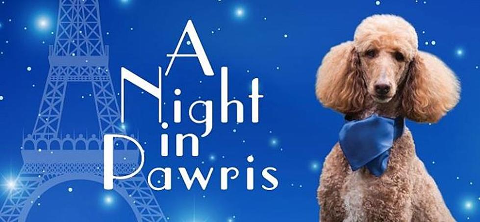 A Night In Pawris &#8211; 15th Annual Fur Ball for CAHS This Saturday!