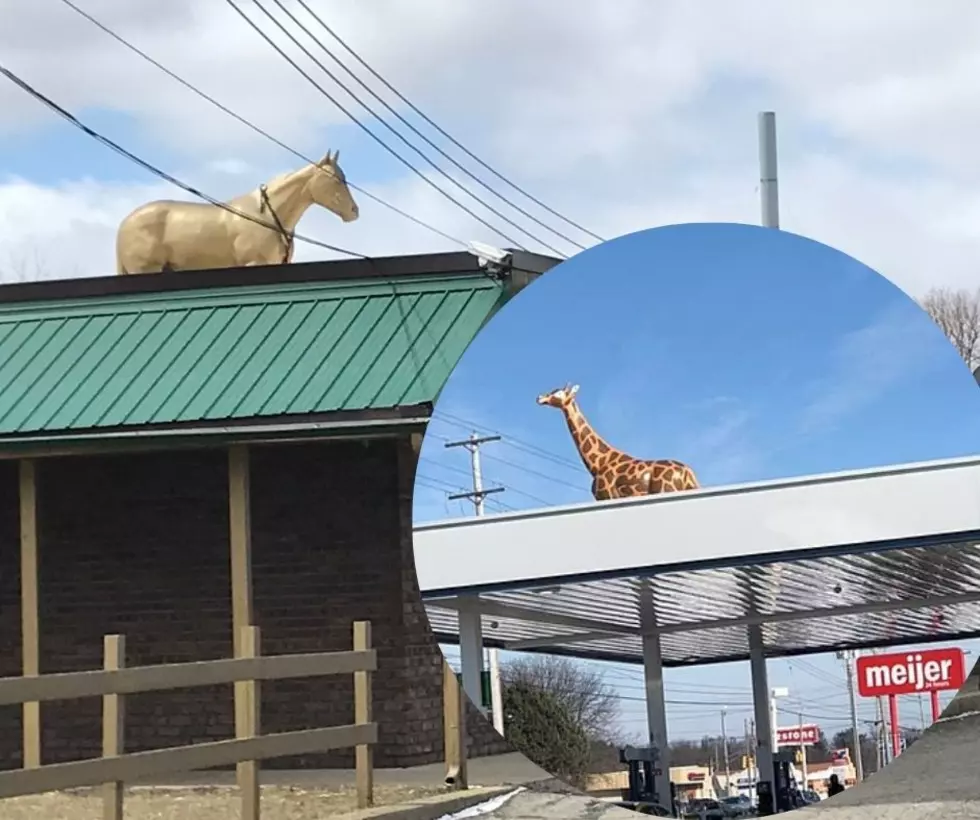 So Are Animal Statues on Rooftops a Lansing Thing?